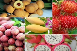Vietnamese agricultural products in 